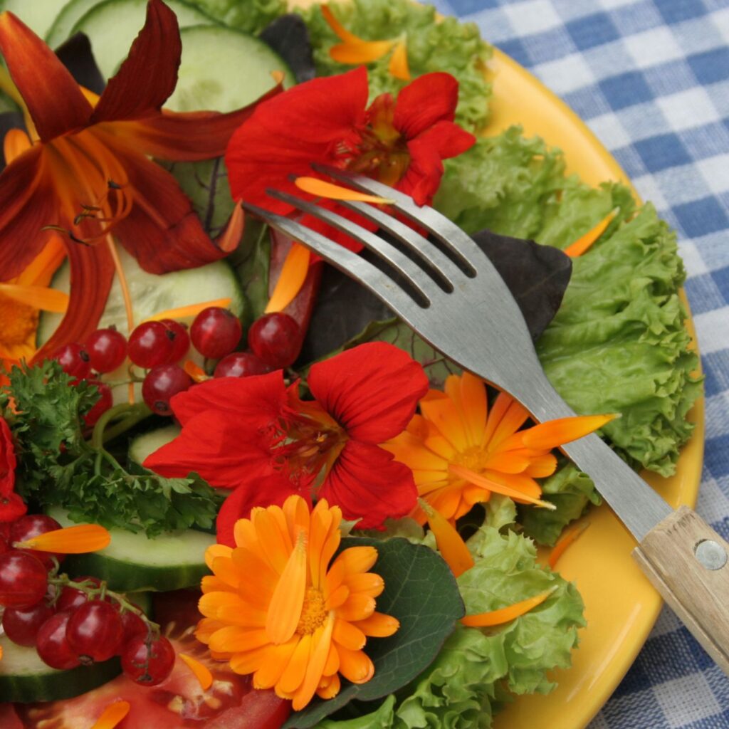 Are Marigolds Edible? + Marigold Recipes Montana Happy