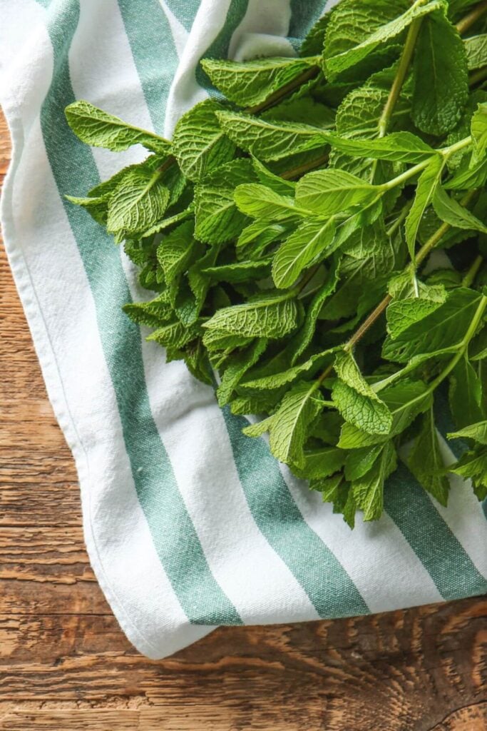 How to Store Mint: Storage, Freezing, and Drying - Photo of Fresh Mint on a Dish Towel