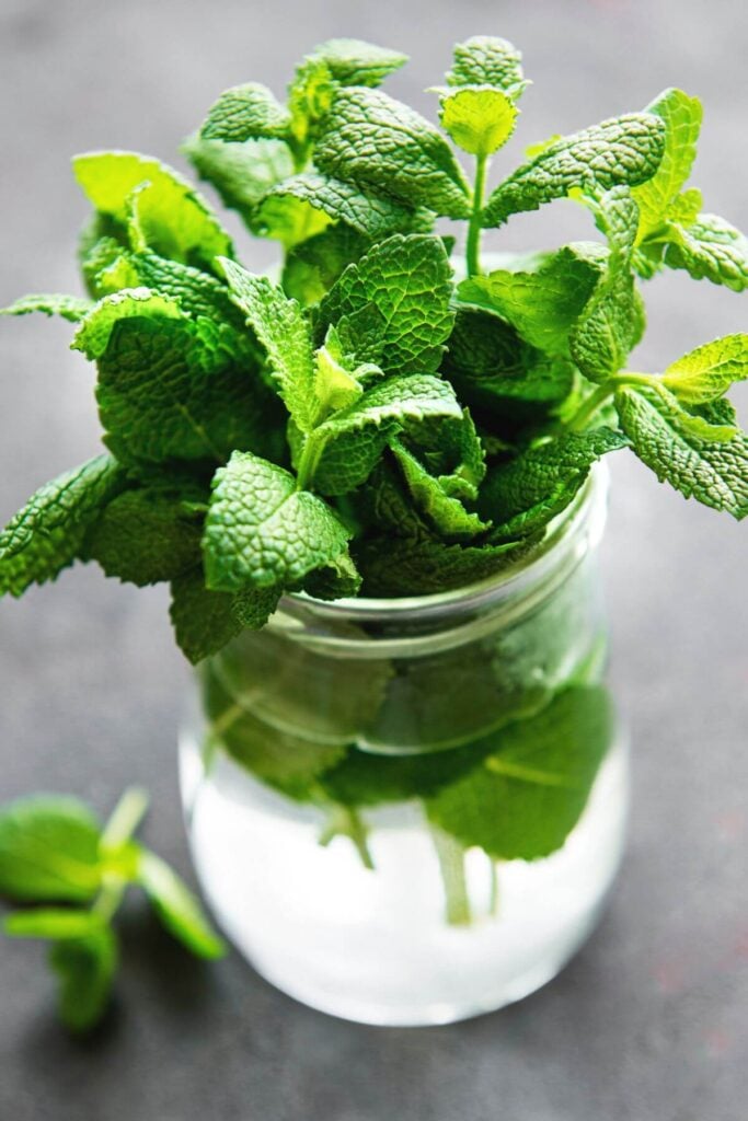 How to Store Mint Leaves in the Refrigerator - Fresh Mint in a Mason Jar