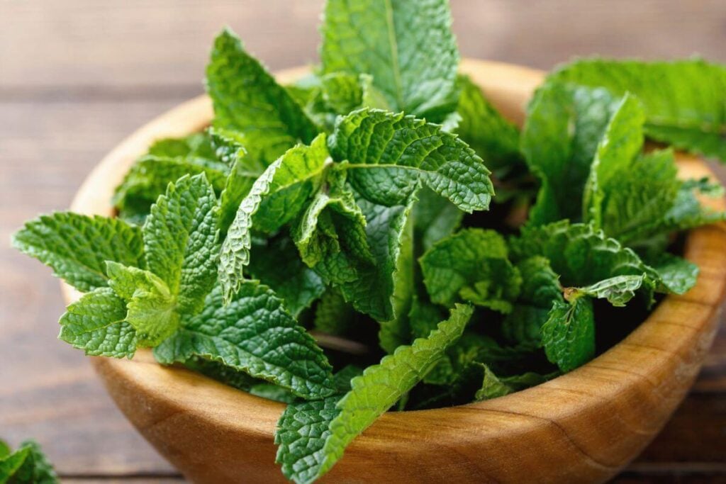 How to Store Mint - Photo of Fresh Mint Leaves in a Wooden Bowl
