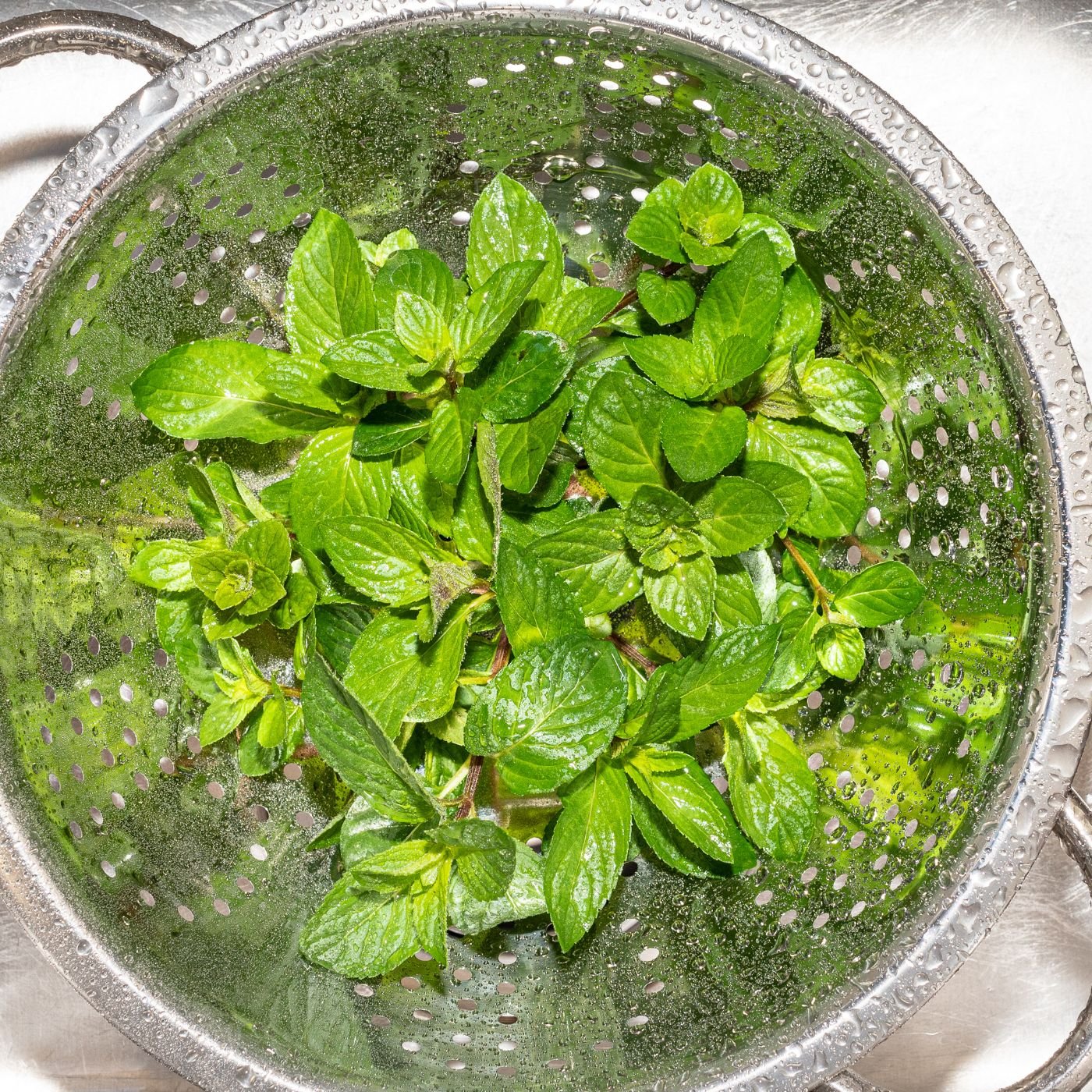 How to Store Mint Storing, Drying, and Freezing Montana Happy