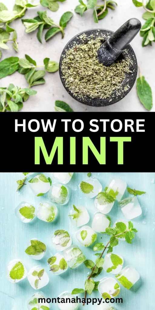 How to Store Mint Storing, Drying, and Freezing Montana Happy