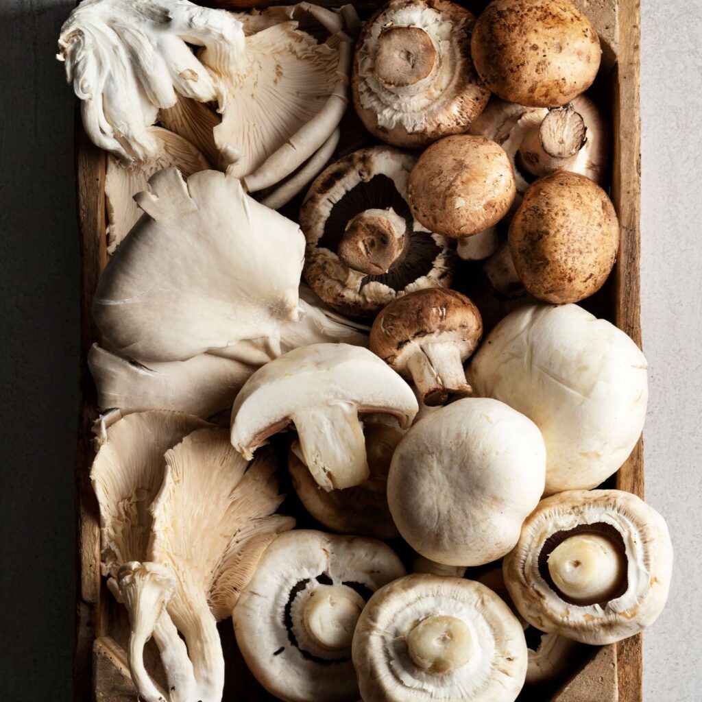 Are Mushrooms Vegetables? | Montana Happy