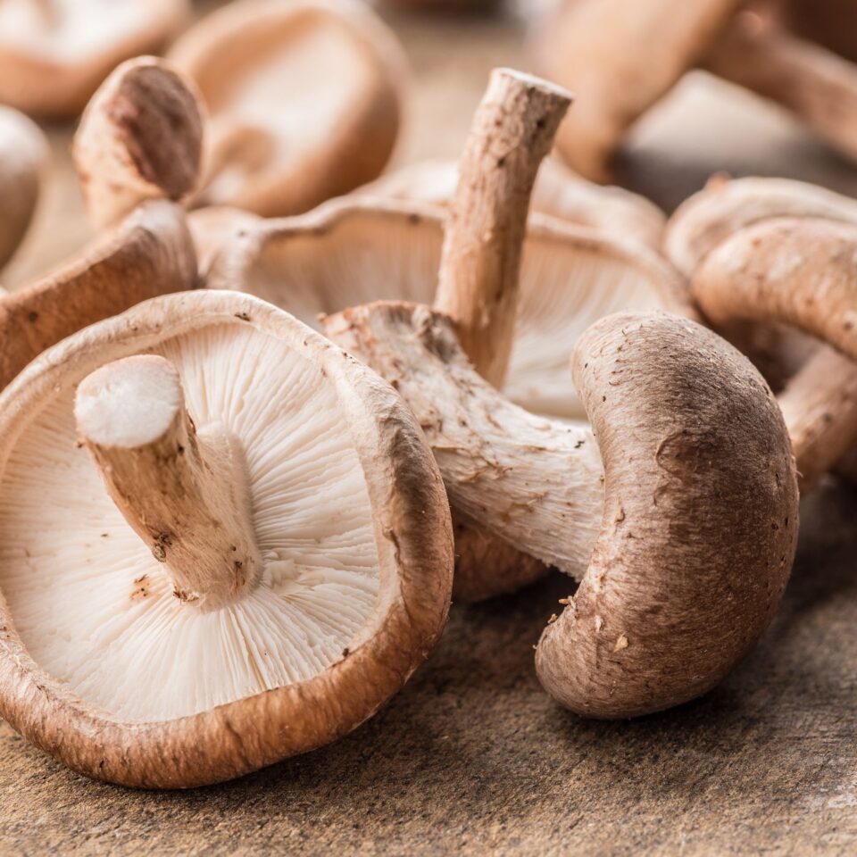 Are Mushrooms Vegetables? | Montana Happy