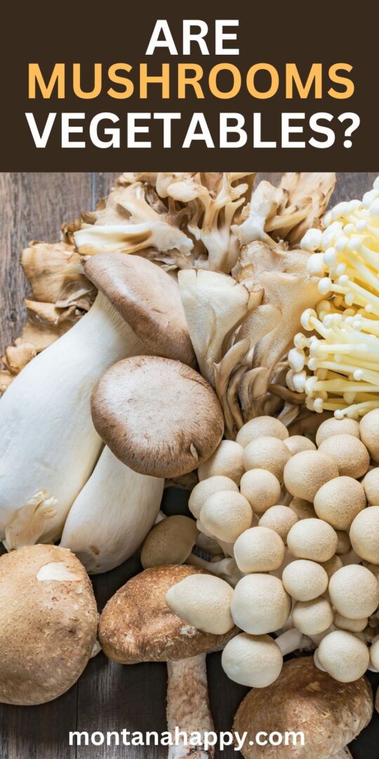 Are Mushrooms Vegetables? | Montana Happy