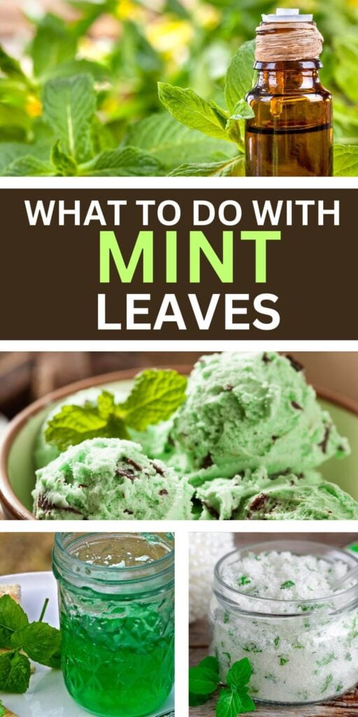 What to do with Mint Leaves * Photos of Ideas with Mint 