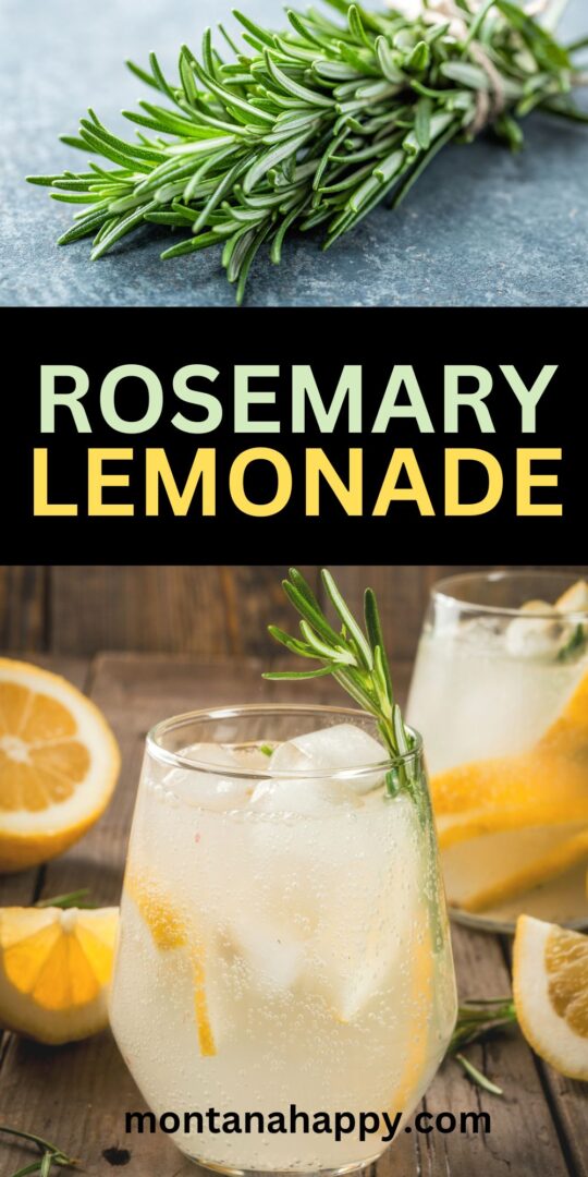 Rosemary Lemonade A Sip of Herbal Bliss Montana Happy