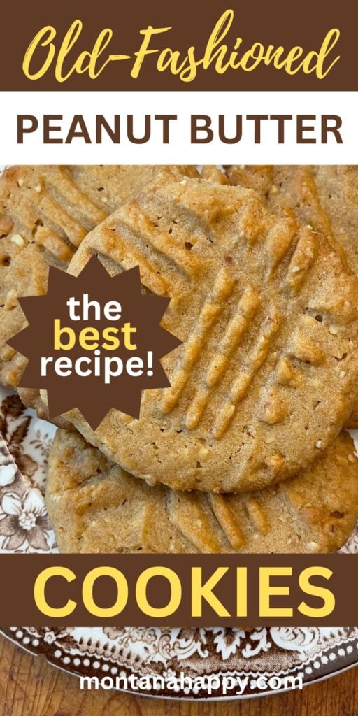 Old Fashioned Peanut Butter Cookies Recipe - If you're looking for the perfect recipe for peanut butter cookies, you've found it! This delicious recipe will have your taste buds swooning. / Gourmet Cookies / Dessert Recipes / Cookie Recipes / Sweet Recipes / Summer Desserts / Delicious Desserts / Peanut Butter Cookie Recipe / Grandma's Peanut Butter Cookies 
