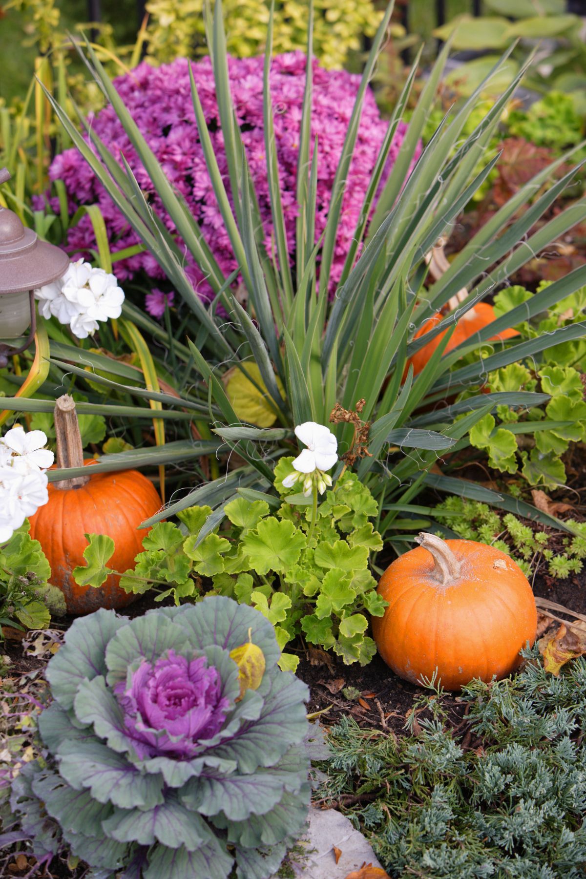 Fall Garden Ideas Achieve a Stunning