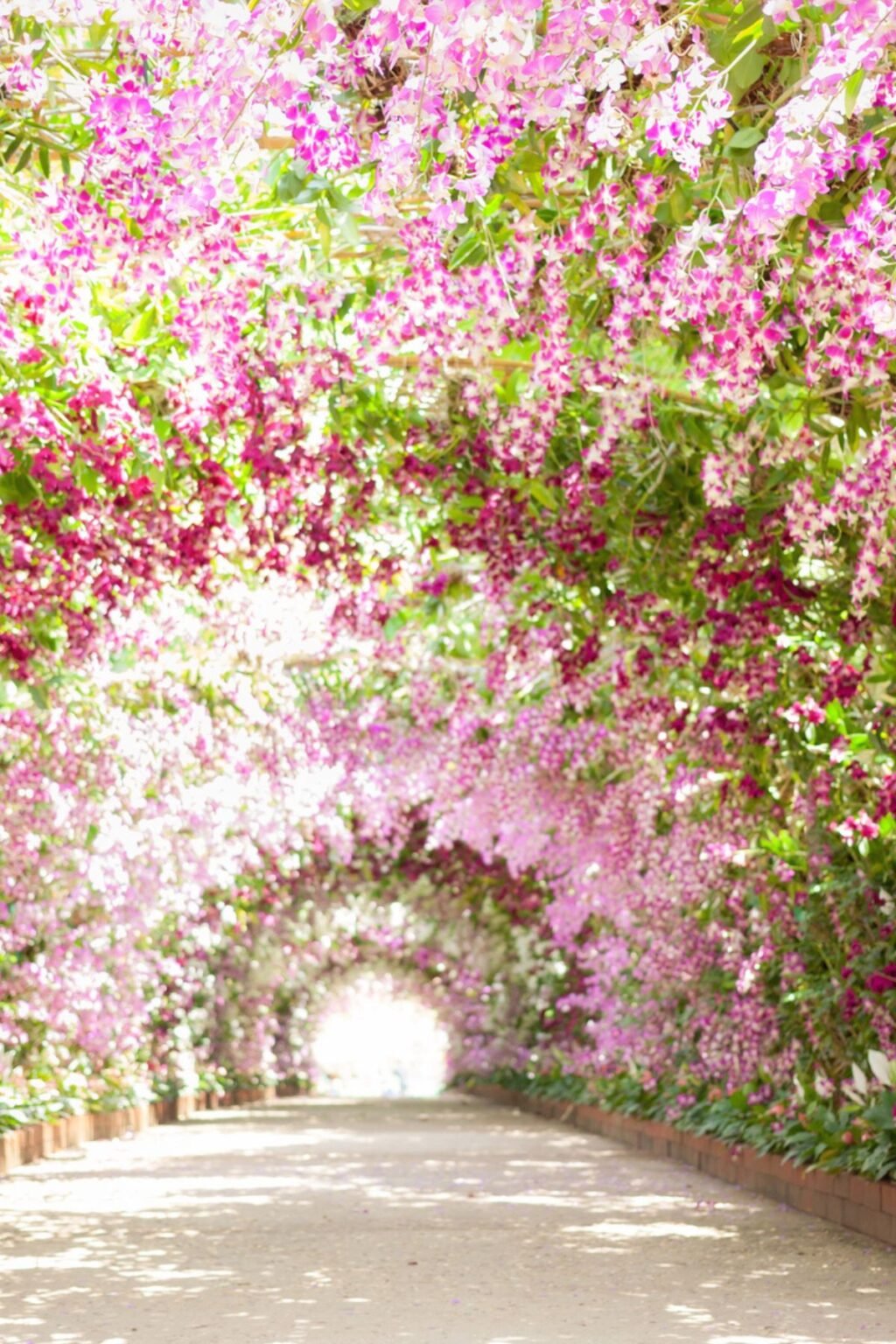 Creative April Birthday Ideas For Women Montana Happy creative-april-birthday-ideas-for-women-montana-happy