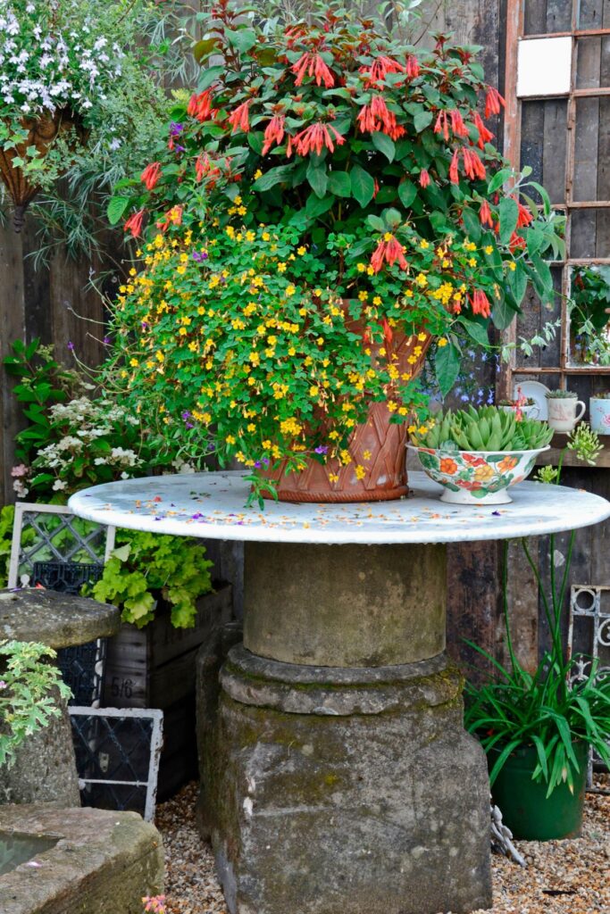 Design Elements of an English Cottage Garden - Photo of a Potted Plant on a Rustic Stone Table 