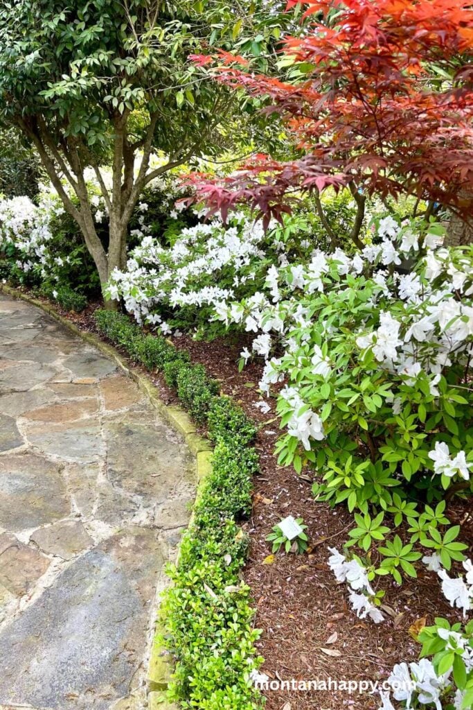 English Cottage Garden Bed Edging 