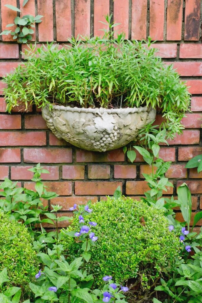 English Cottage Garden Ideas * Garden Wall Planter Ideas 