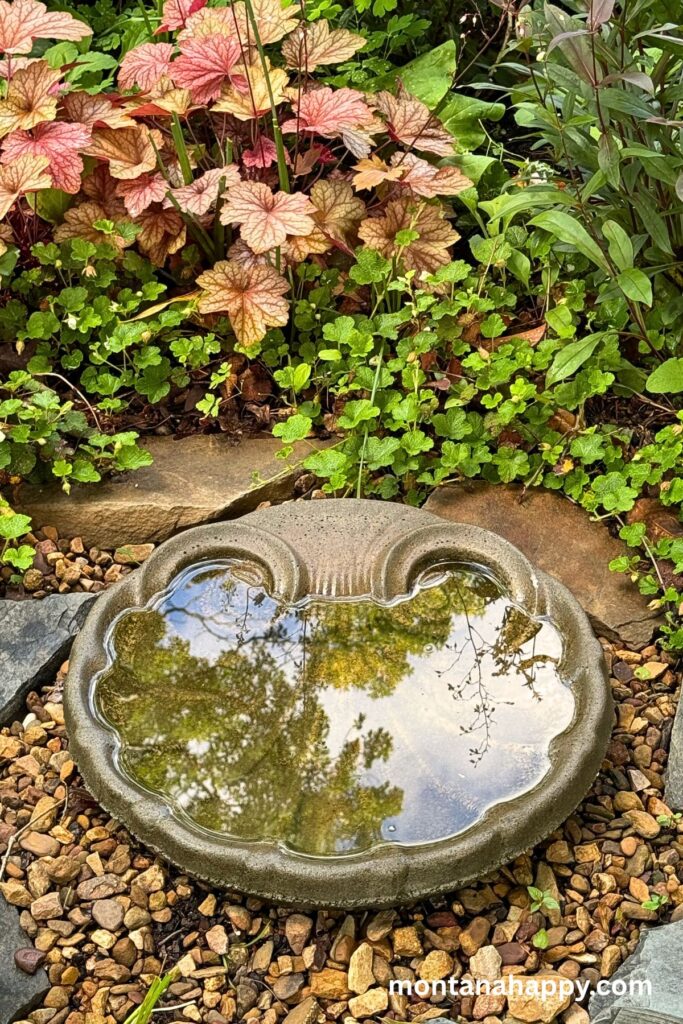 Secret Garden Design Ideas - Ground Level Bird Bath - A ground-level bird bath blends naturally into the garden, offering a serene spot for birds to drink and bathe just steps from the earth. Surrounded by low-growing flowers or tucked beneath a tree, it creates a peaceful woodland feel while attracting all kinds of feathered visitors.