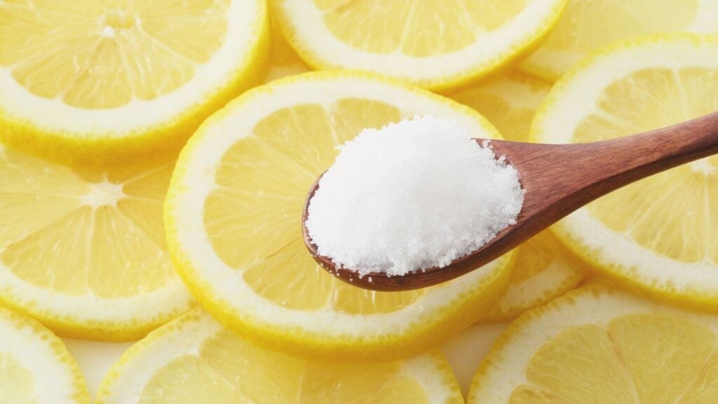 Ingredients for Candied Lemon Slices Recipe