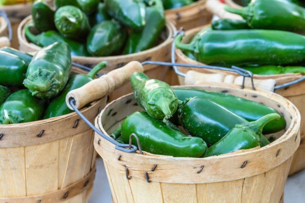 How to Preserve Jalapeños  * Photo of Baskets of Fresh Jalapeños 