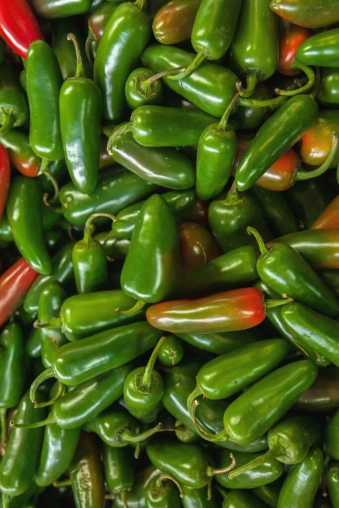 How to Preserve Jalapeños * Photo of a Pile of Red and Green Fresh Jalapeños  