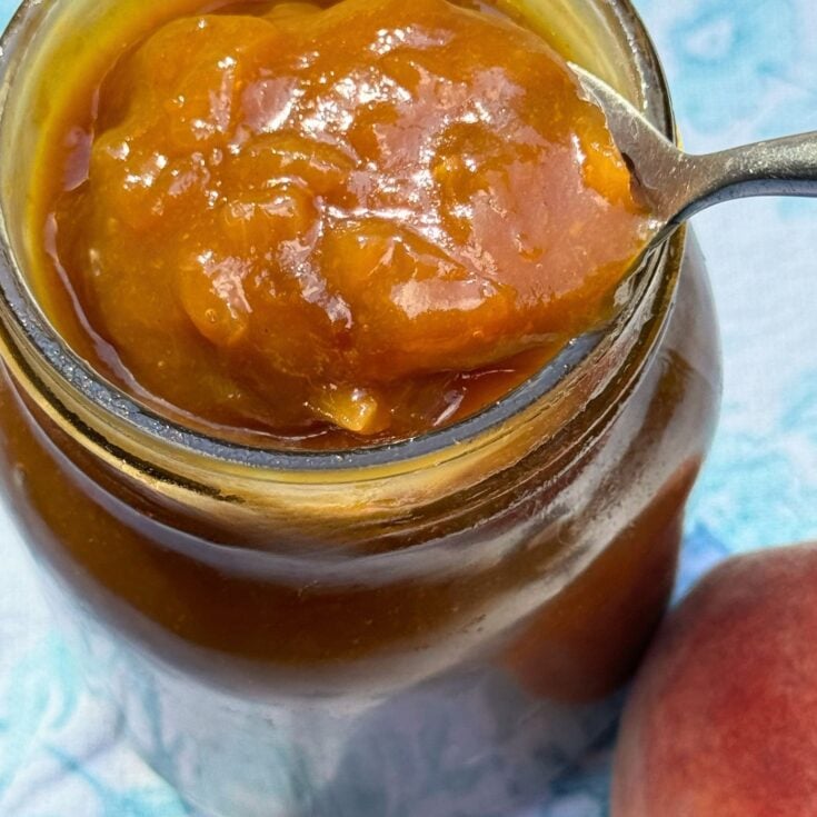 Photo of Peach Bourbon BBQ Sauce Recipe